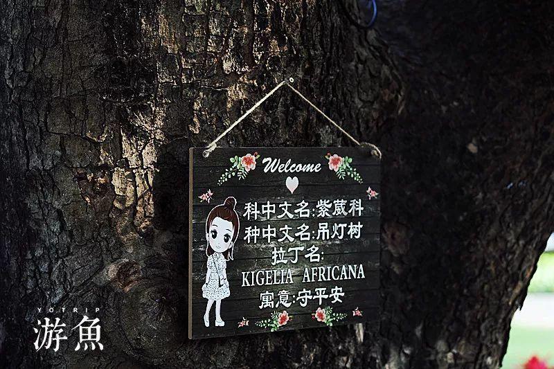 汽车电瓶柱越用越紧-专业问答交流平台